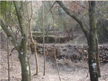 Bosco stone walls
